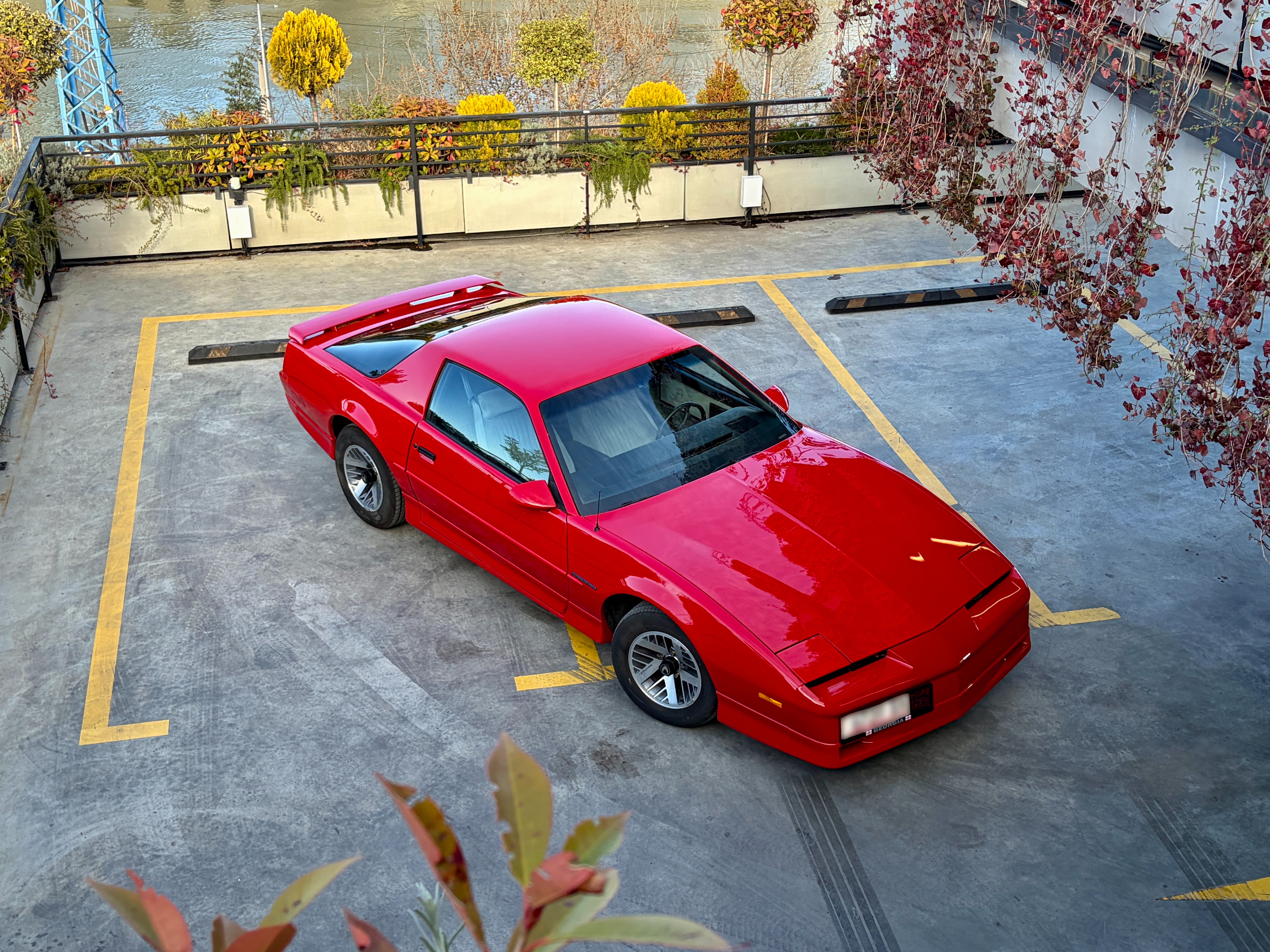1989 Pontiac Firebird