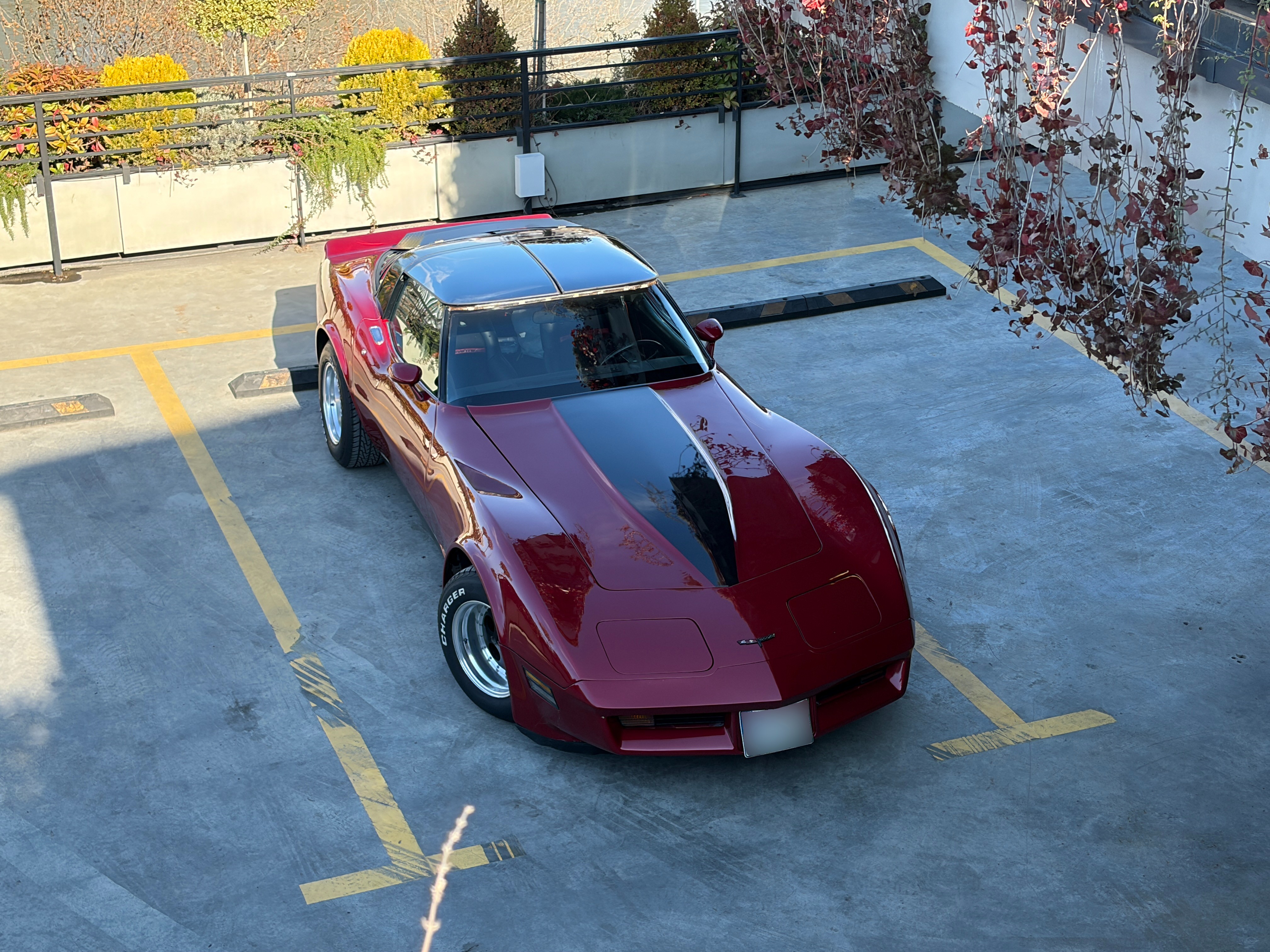 1980 Chevrolet Corvette